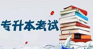 专升本资料【大合集】-皓收集 | 网创宝典