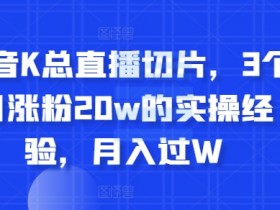 抖音K总直播切片，3个月涨粉20w的实操经验，月入过W-皓收集 | 网创宝典