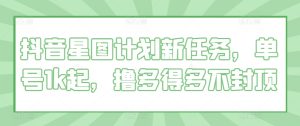 抖音星图计划新任务，单号1k起，撸多得多不封顶--皓收集 | 网创宝典