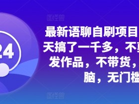 最新语聊自刷项目，亲测3天搞了一千多，不剪辑，不发作品，不带货，简单无脑，无门槛-皓收集 | 网创宝典