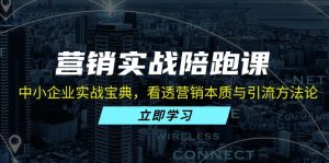 营销实战陪跑课：中小企业实战宝典，看透营销本质与引流方法论--皓收集 | 网创宝典
