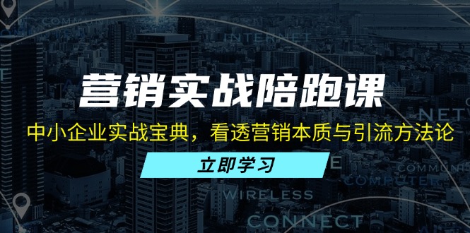 营销实战陪跑课：中小企业实战宝典，看透营销本质与引流方法论-皓收集 | 网创宝典