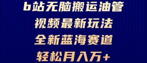 B站无脑搬运油管视频最新玩法，轻松月入过万，小白轻松上手，全新蓝海赛道--皓收集 | 网创宝典