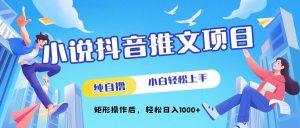 小说抖音推文项目，纯自撸，小白轻松上手，矩形操作后，轻松日入几张--皓收集 | 网创宝典