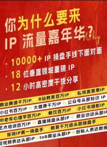 群响IP流量嘉年华，​现场视频+IP江湖2024典藏版PPT--皓收集 | 网创宝典