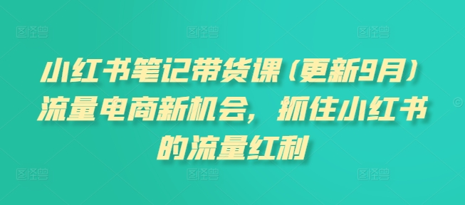 小红书笔记带货课(更新10月)流量电商新机会，抓住小红书的流量红利-皓收集 | 网创宝典