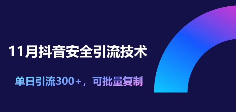 11月抖音安全引流技术，单日引流300+，可批量复制-皓收集 | 网创宝典