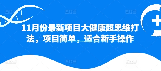 11月份最新项目大健康超思维打法，项目简单，适合新手操作-皓收集 | 网创宝典