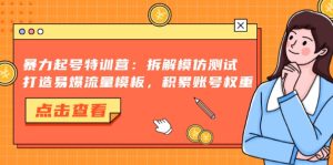 暴力起号特训营：拆解模仿测试，打造易爆流量模板，积累账号权重--皓收集 | 网创宝典