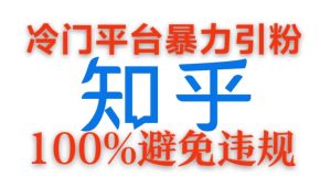 冷门平台暴力引流，日引100+创业粉，0成本100%避免违规的玩法--皓收集 | 网创宝典