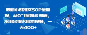 最新小说推文SOP全流程，从0~1保姆级教程，不用出镜不用拍视频，一天400+--皓收集 | 网创宝典
