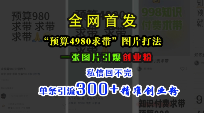 小红书“预算4980带我飞”图片打法，一张图片引爆创业粉，私信回不完，单条引流300+精准创业粉-皓收集 | 网创宝典