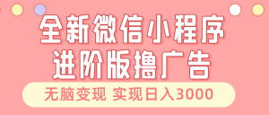 全新微信小程序进阶版撸广告 无脑变现睡后也有收入 日入3000＋--皓收集 | 网创宝典
