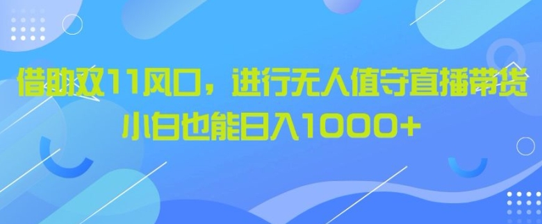 借助双11风口，进行无人值守直播带货，小白也能日入1k-皓收集 | 网创宝典