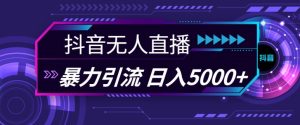 抖音快手视频号全平台通用无人直播引流法，利用图片模板和语音话术，暴力日引流100+创业粉【揭秘】--皓收集 | 网创宝典