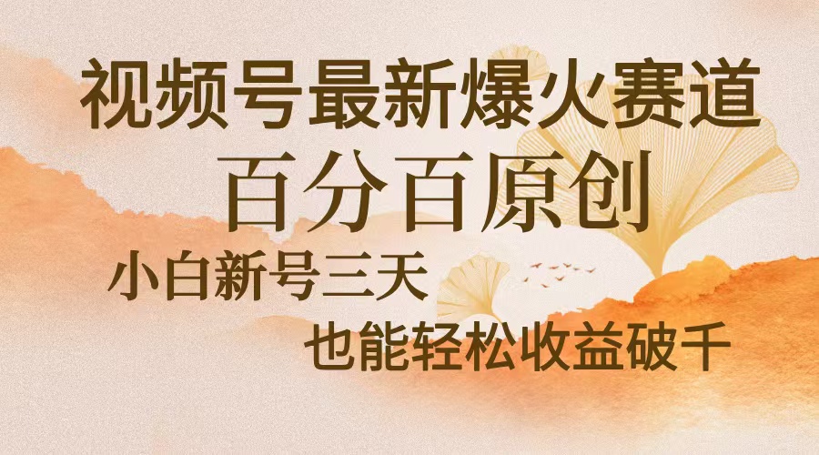 视频号最新爆火赛道，中老年粉深信不疑，百分百原创，新号三天收益轻松…-皓收集 | 网创宝典