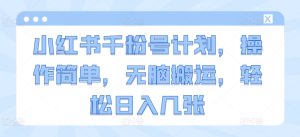 小红书千粉号计划，操作简单，无脑搬运，轻松日入几张--皓收集 | 网创宝典