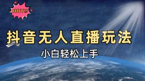 抖音无人直播新玩法，轻松日入500➕，小白快速上手--皓收集 | 网创宝典