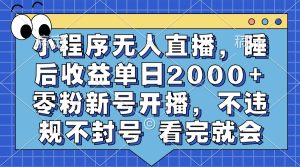 小程序无人直播，睡后收益单日2000+ 零粉新号开播，不违规不封号 看完就会--皓收集 | 网创宝典