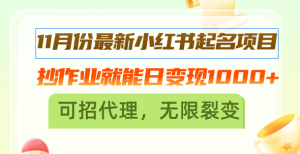 11月份最新小红书起名项目，抄作业就能日变现1000+，可招代理，无限裂变--皓收集 | 网创宝典