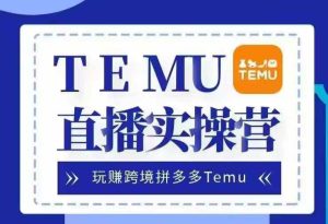 Temu直播实战营，玩赚跨境拼多多Temu，国内电商卷就出海赚美金--皓收集 | 网创宝典