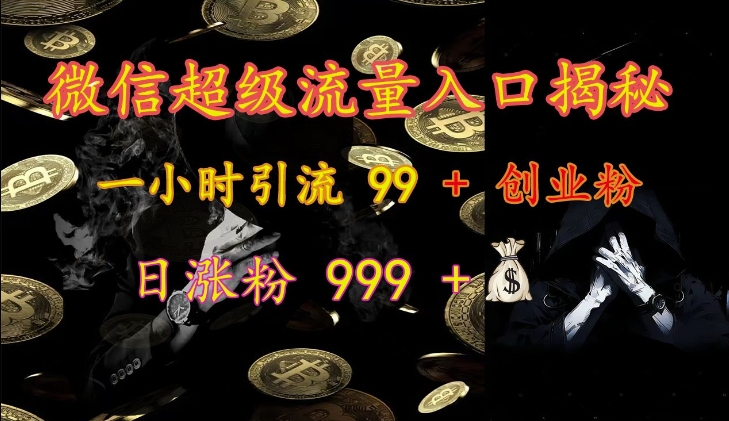 微信超级流量入口揭秘：一小时引流 99 + 创业粉，日涨粉 999 +-皓收集 | 网创宝典