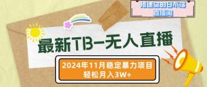 【最新TB-无人直播】11月最新，打造你的日不落直播间，轻松月入过W【揭秘】--皓收集 | 网创宝典