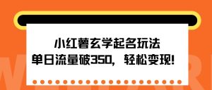 小红薯玄学起名玩法，单日流量破350+，轻松变现--皓收集 | 网创宝典