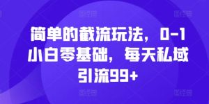 简单的截流玩法，0-1小白零基础，每天私域引流99+【揭秘】--皓收集 | 网创宝典