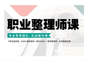 职业整理师培训(新版)，实战操作课--皓收集 | 网创宝典