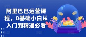 阿里巴巴运营课程，0基础小白从入门到精通必看--皓收集 | 网创宝典