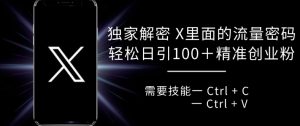独家解密推特里面的流量密码，复制粘贴轻松日引100+--皓收集 | 网创宝典