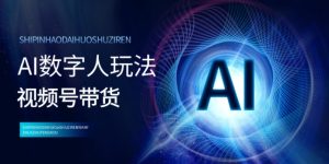 视频号带货-AI数字人玩法，小白易操作，抓住风口月入过w--皓收集 | 网创宝典