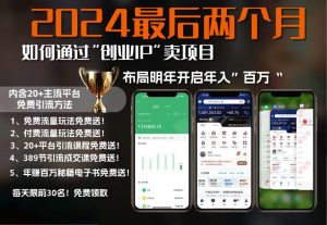 2024最后两个月如何通过”创业IP“卖项目年入”百万“,创业IP+最强引流…--皓收集 | 网创宝典