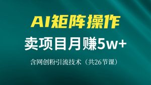 网创IP打造课，借助AI卖项目月赚5万+，含引流技术（共26节课）--皓收集 | 网创宝典