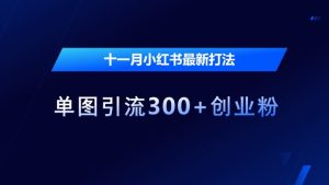 十一月小红书最新打法，单图引流300+创业粉【揭秘】--皓收集 | 网创宝典