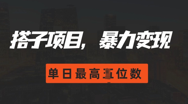 2024搭子玩法，0门槛，暴力变现，单日最高破四位数【揭秘】-皓收集 | 网创宝典