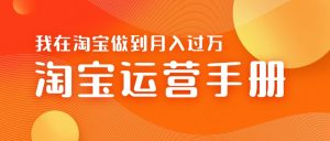 淘宝运营教学手册在淘宝卖这个品可以让你做到日入几张+新手小白轻松上手--皓收集 | 网创宝典