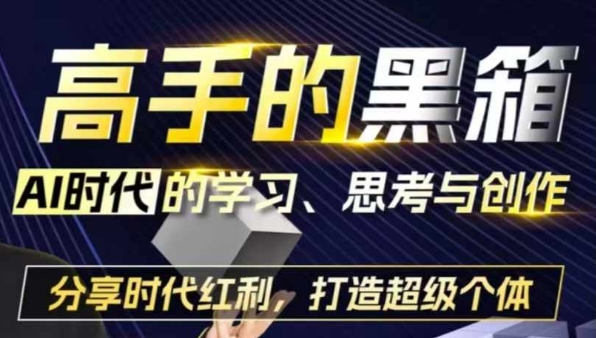 高手的黑箱：AI时代学习、思考与创作-分红时代红利，打造超级个体-皓收集 | 网创宝典