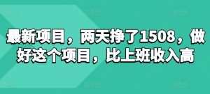 最新项目，两天挣了150，做好这个项目，比上班收入高--皓收集 | 网创宝典