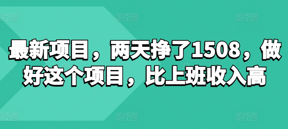 最新项目，两天挣了150，做好这个项目，比上班收入高-皓收集 | 网创宝典