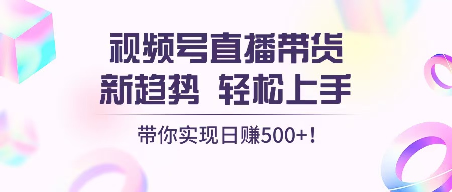 视频号直播带货新趋势，轻松上手，带你实现日赚500+ -皓收集 | 网创宝典