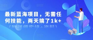 最新蓝海项目，无需任何技能，两天搞了1k+(附详细实操+资料)--皓收集 | 网创宝典