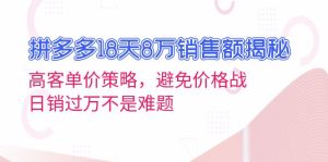 拼多多18天8万销售额揭秘：高客单价策略，避免价格战，日销过万不是难题--皓收集 | 网创宝典