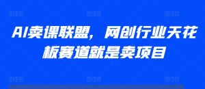 AI卖课联盟，网创行业天花板赛道就是卖项目--皓收集 | 网创宝典
