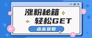 小红书最新引流涨粉秘籍，轻松引流至私域 !--皓收集 | 网创宝典