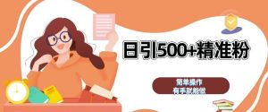 私域引流获客神器，全自动引流玩法日引 500+精准粉 加爆你的微信【揭秘】--皓收集 | 网创宝典