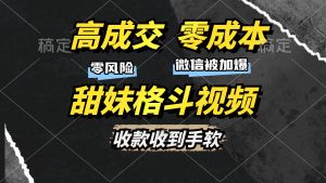 高成交零成本，售卖甜妹格斗视频，谁发谁火，加爆微信，收款收到手软--皓收集 | 网创宝典