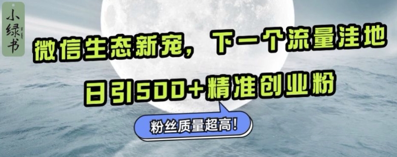 微信生态新宠小绿书：下一个流量洼地，日引500+精准创业粉，粉丝质量超高-皓收集 | 网创宝典