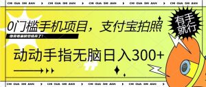 0门槛手机项目，支付宝拍照，无脑日入1张，轻轻松松，有手就行--皓收集 | 网创宝典